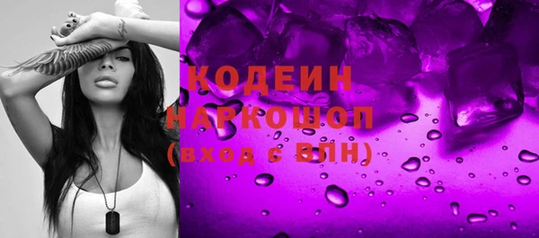 прущие грибы Саяногорск