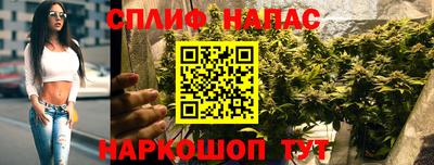 стаф Малоярославец