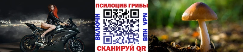 Псилоцибиновые грибы прущие грибы  Грязи 