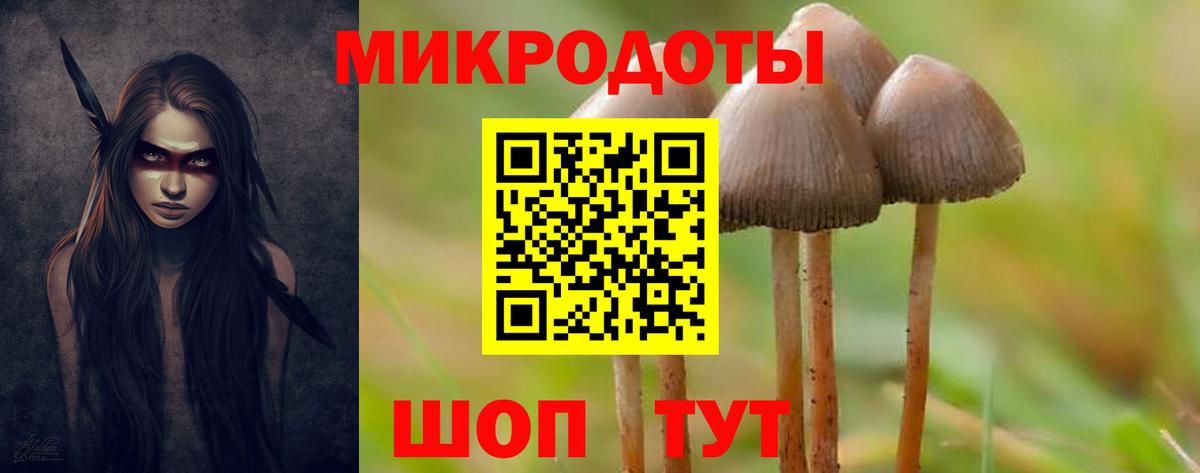 Галлюциногенные грибы Psilocybe Грязи